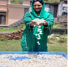 Dr Rubia Bukhari Poonch JU Campus 3