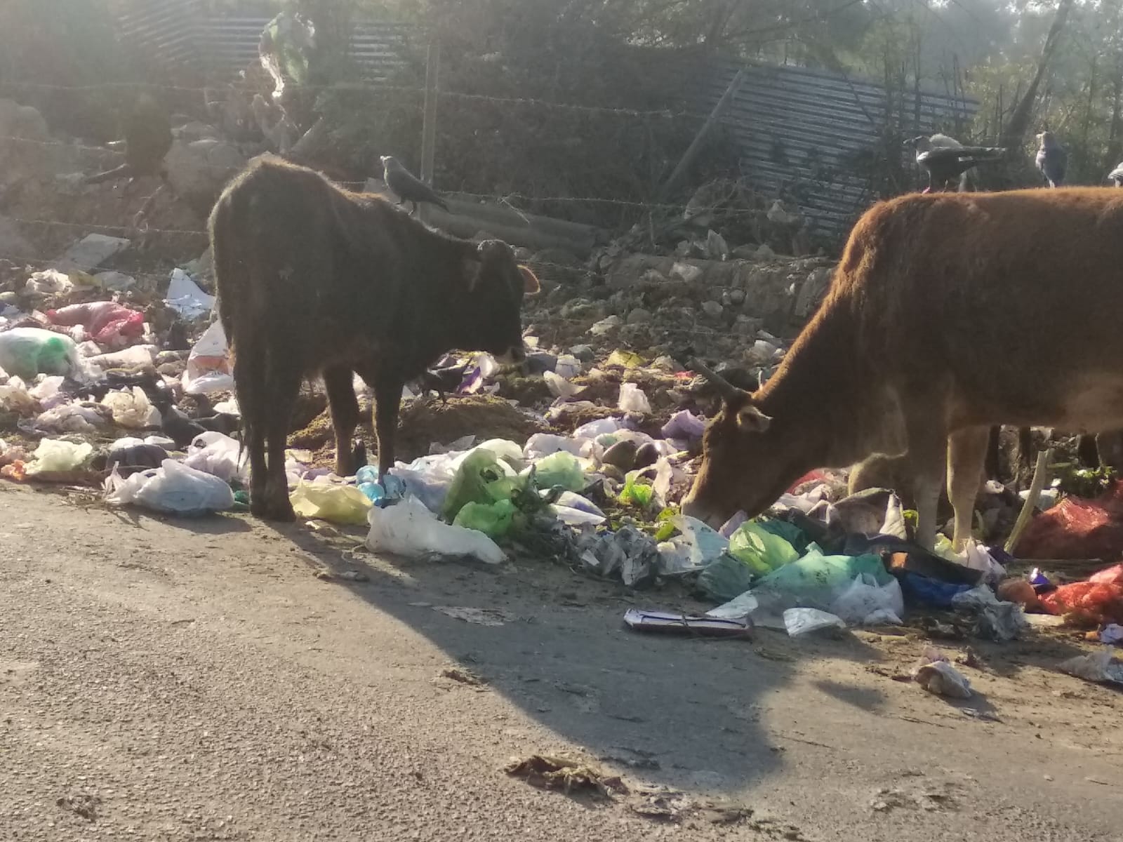 Bantalab Jammu